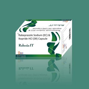 Rabesia-IT